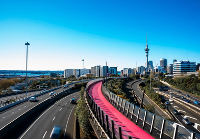 New Zealand countryside