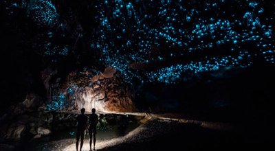 Waitomo glowworm cave